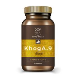   Myrobalan KhogA.9 gyógynövény kapszula reflux kezelésére 60 db
