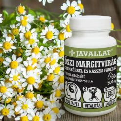   ŐSZI MARGITVIRÁG GYÖMBÉRREL ÉS KASSZIA FAHÉJJAL 60db-os kapszula