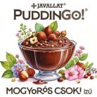PuddinGo!® Mogyorós csoki ízű instant pudingpor 300 g 