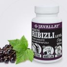 JAVALLAT Fekete ribizli levél kapszula 60 db